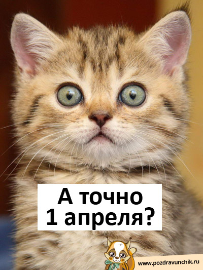 А точно 1 апреля?