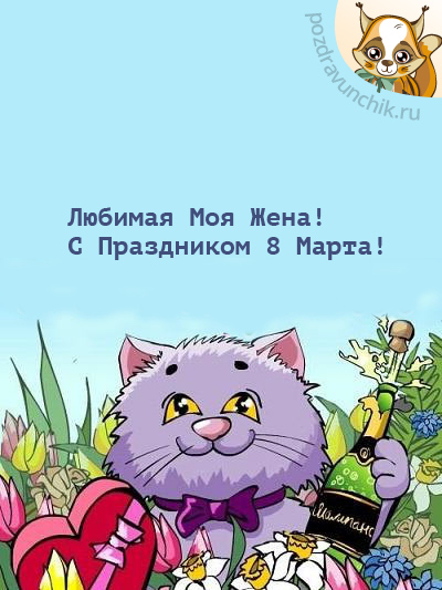 Любимая моя жена! С 8 Марта!