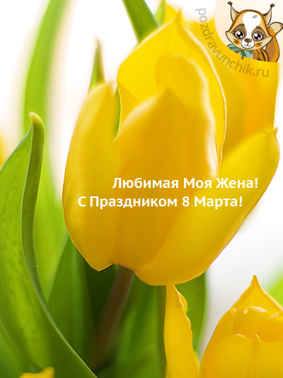 Любимая, с праздником 8 Марта!