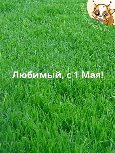 Любимый, с 1 Мая!
