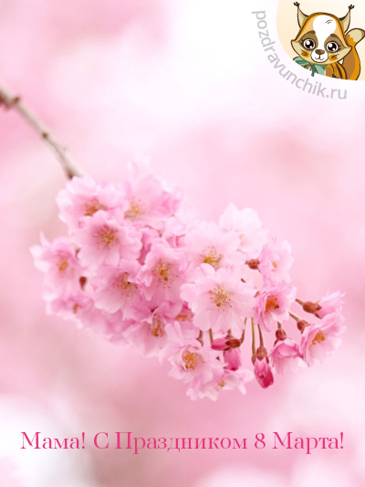 С 8 марта, мама!