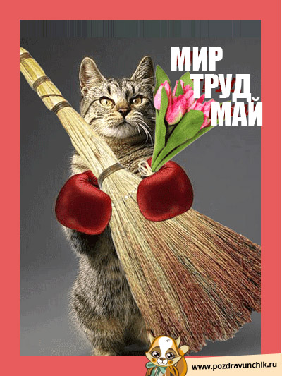 Театры 1 мая. Мир труд май. 1 Мая юмористические. Дизайнерские открытки 1 мая с юмором.