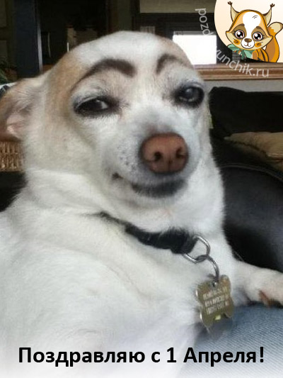 С первым апреля, браток!