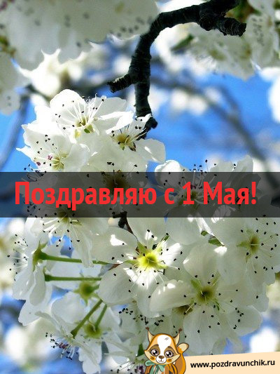 Поздравляю с 1 Мая!