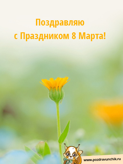 Поздравляю с праздником 8 Марта!