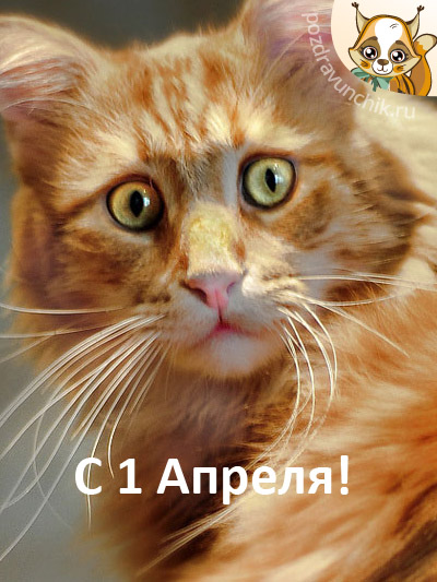 Поздравляю с Первым Апреля!