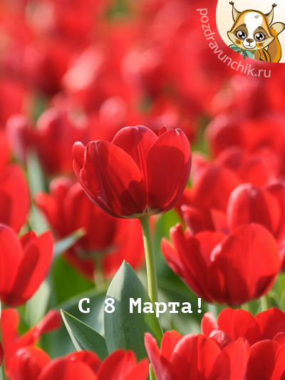 С 8 Марта!
