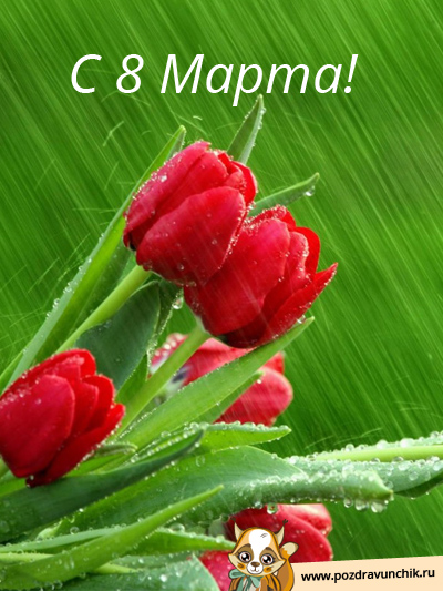 С 8 Марта!
