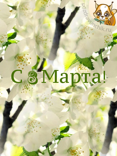 С Международным Женским Днем!