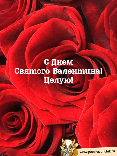 С днем Святого Валентина! Целую!