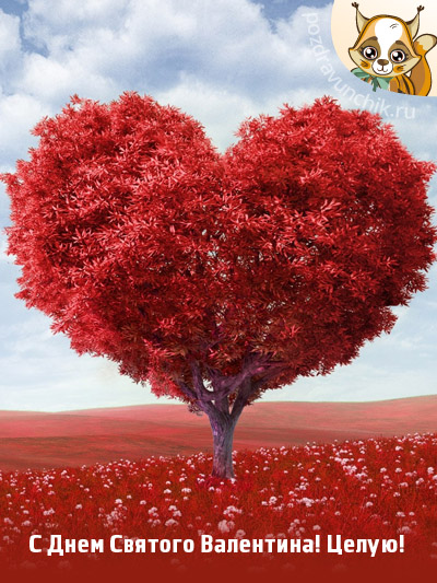 С Праздником Святого Валентина, целую!