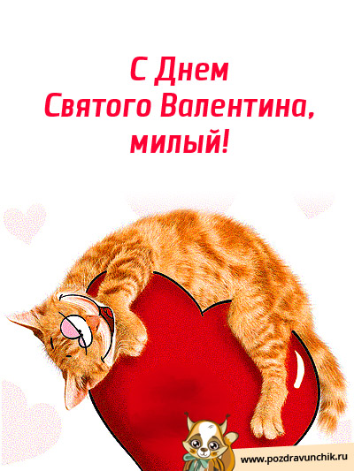 С Днем Святого Валентина, милый!