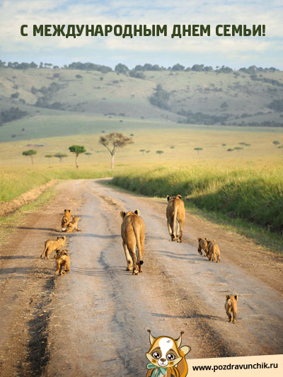 С Международным днем семьи!