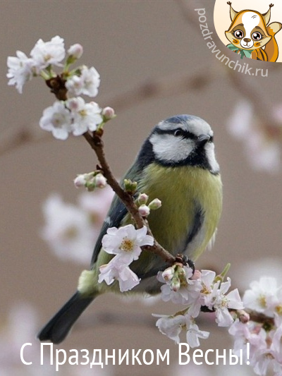 С праздником Весны!