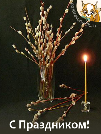 Вербное Воскресенье! Счастья Вам!