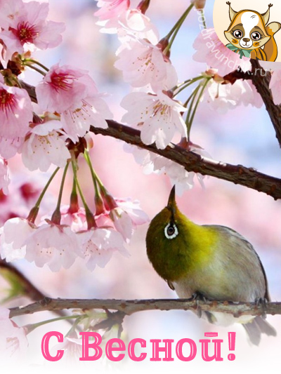 С весной :-)
