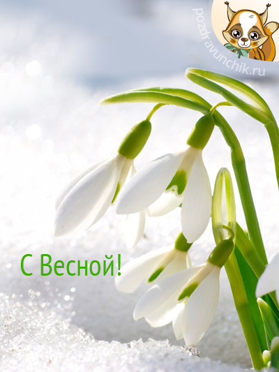С Весной