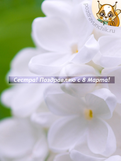 Поздравляю с 8 Марта, сестренка!