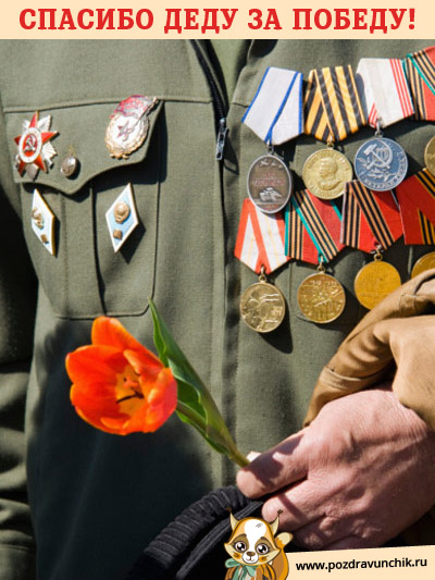 Спасибо за победу, дедушка!