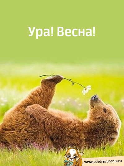 Всех с весной!