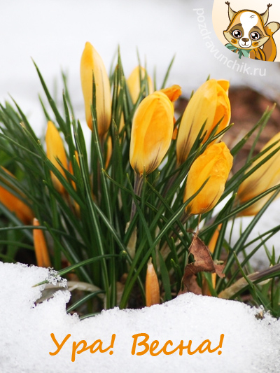 С Весной!