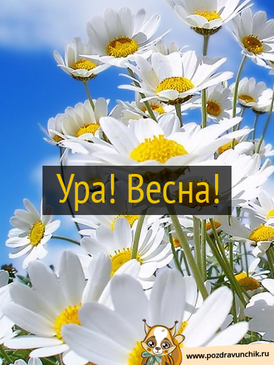 Ура! Весна!
