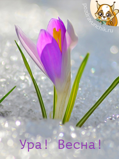 Ура! Весна!
