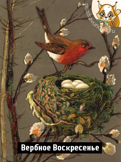 Поздравляю с Вербным Воскресеньем!