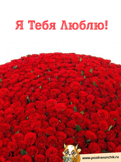 Я тебя люблю!