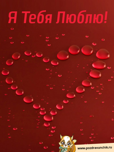 Я тебя люблю! С праздником!