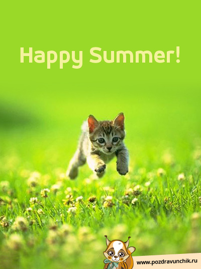 Happy Summer!