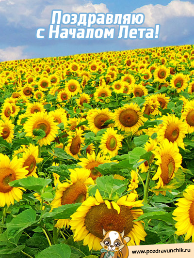 С началом лета!