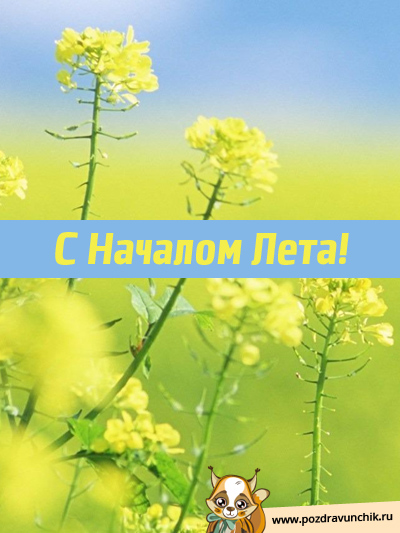С началом лета!
