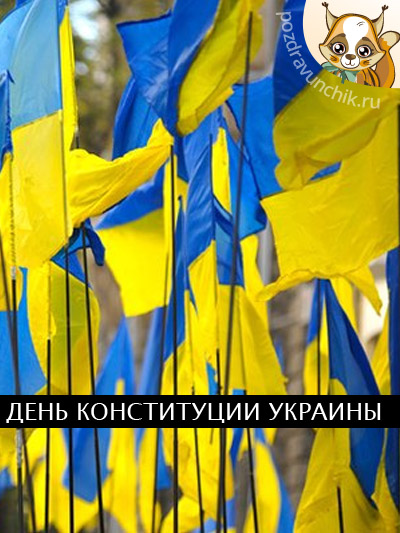 День Конституции Украины!