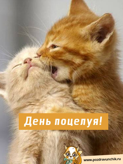 День поцелуев )