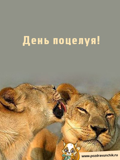 Сегодня день поцелуя!