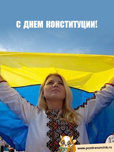 С Днем Конституции!