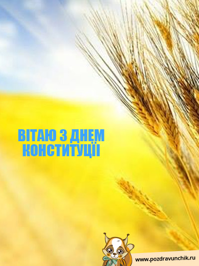 С Днем Конституции!