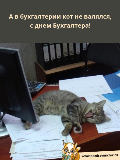 В бухгалтерии кот не валялся? С Днем Бухгалтера Украины!