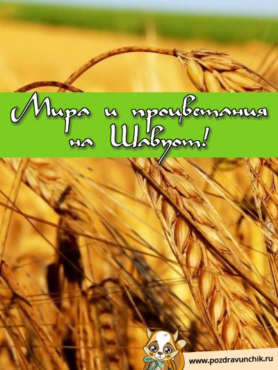 Мира и Процветания на Шавуот!