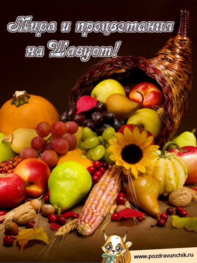 Мира и Процветания на Шавуот!