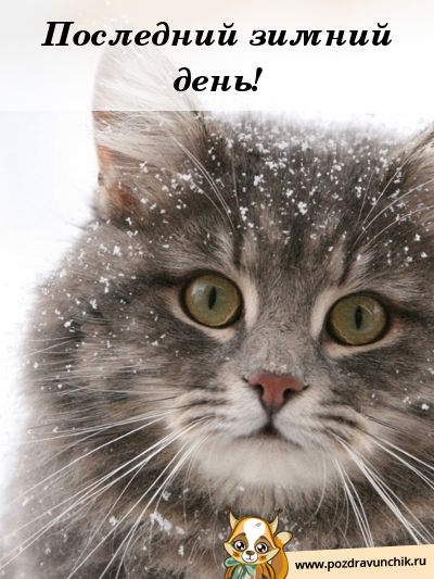 Последний день зимы