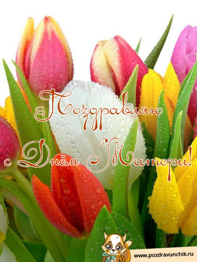 Поздравляю с днем матери!