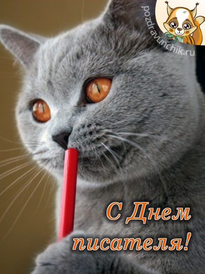 С днем писателя!
