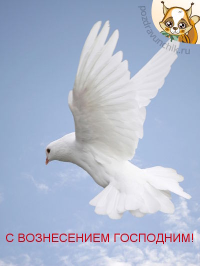 Сегодня Вознесение Господне!