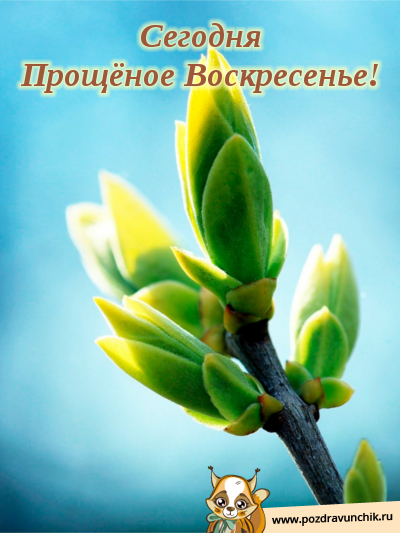 Сегодня Прощеное Воскресенье!