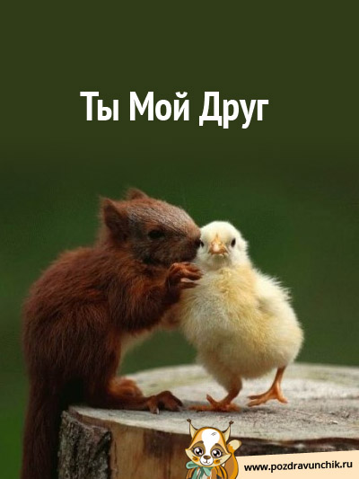 Ты мой друг