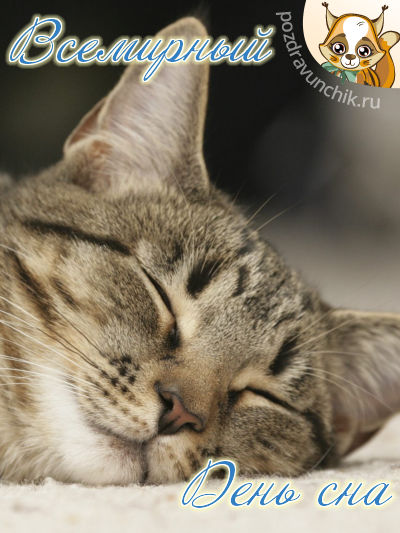 Всемирный день сна!