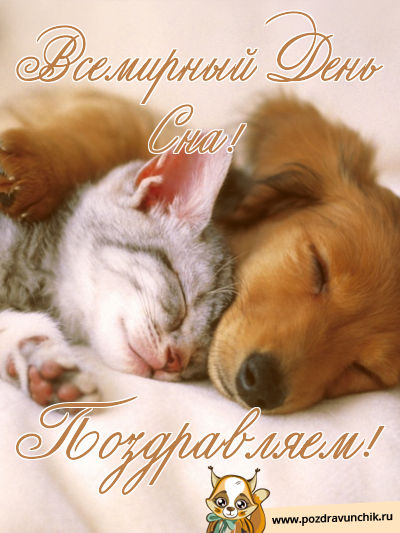 Сегодня всемирный день сна!