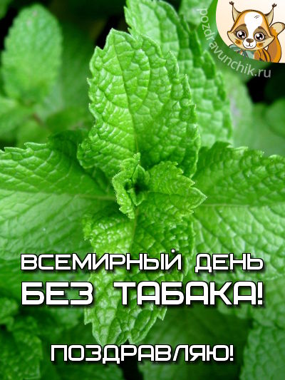 Всемирный день без табака!